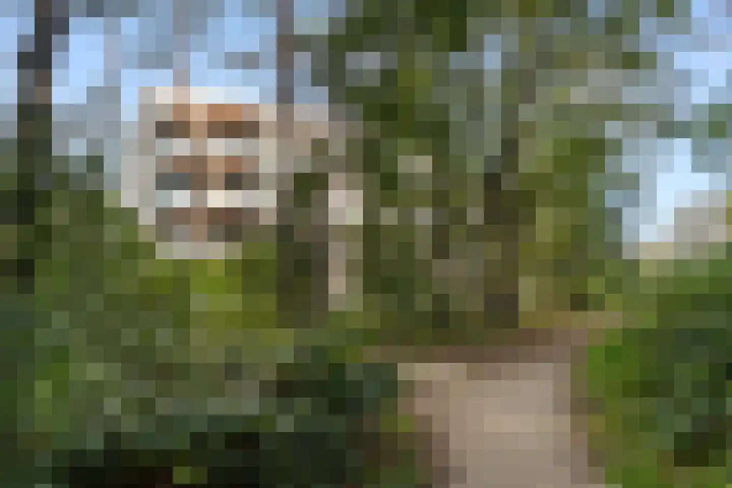 Elbert Veenendaalhof 40 Ede thumbnail 14