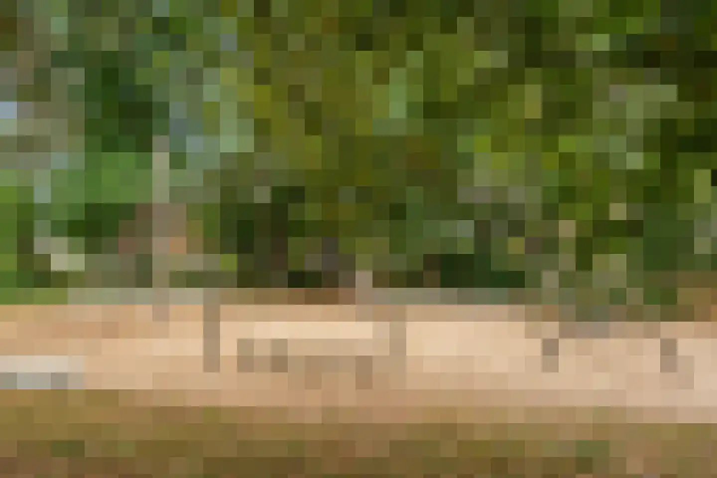 Elbert Veenendaalhof 40 Ede thumbnail 16