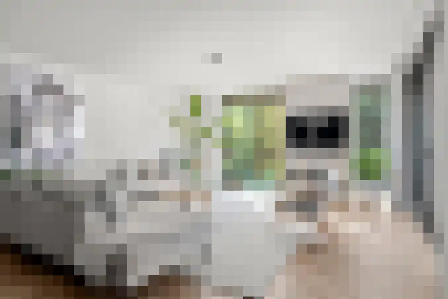 Elbert Veenendaalhof 40 Ede thumbnail 23