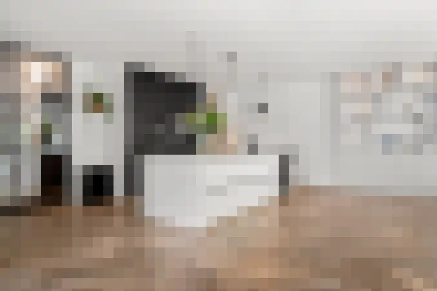Elbert Veenendaalhof 40 Ede thumbnail 28