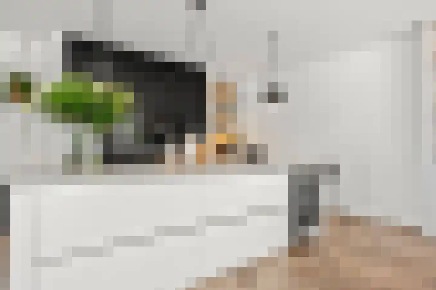 Elbert Veenendaalhof 40 Ede thumbnail 29