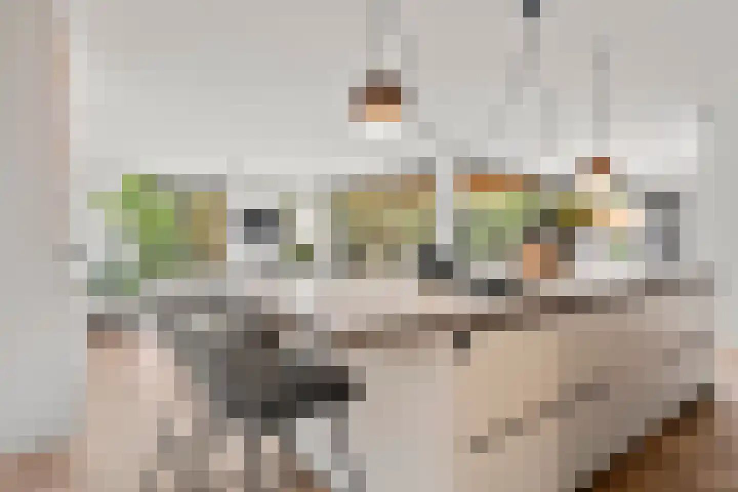 Elbert Veenendaalhof 40 Ede thumbnail 33