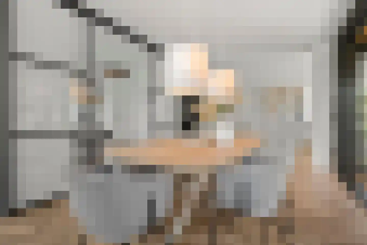 Elbert Veenendaalhof 40 Ede thumbnail 37