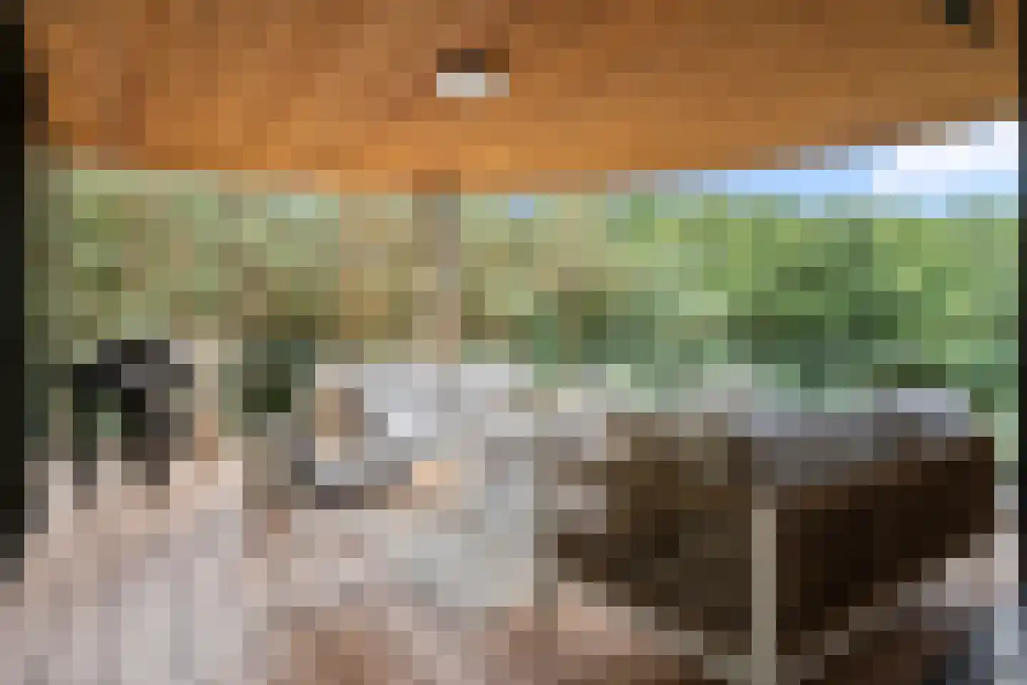 Elbert Veenendaalhof 40 Ede thumbnail 4