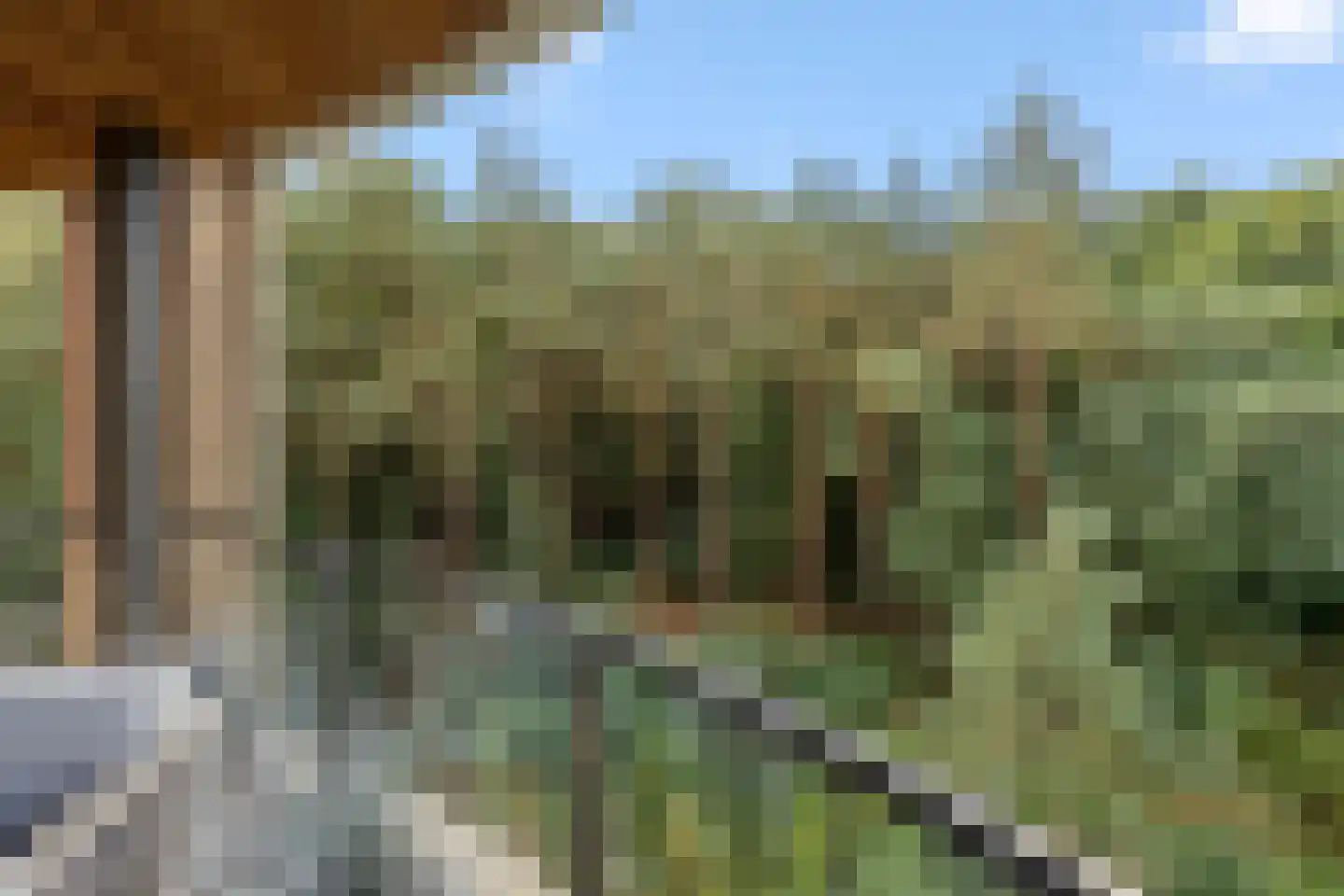 Elbert Veenendaalhof 40 Ede thumbnail 45