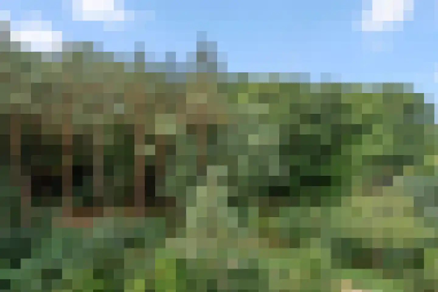 Elbert Veenendaalhof 40 Ede thumbnail 46