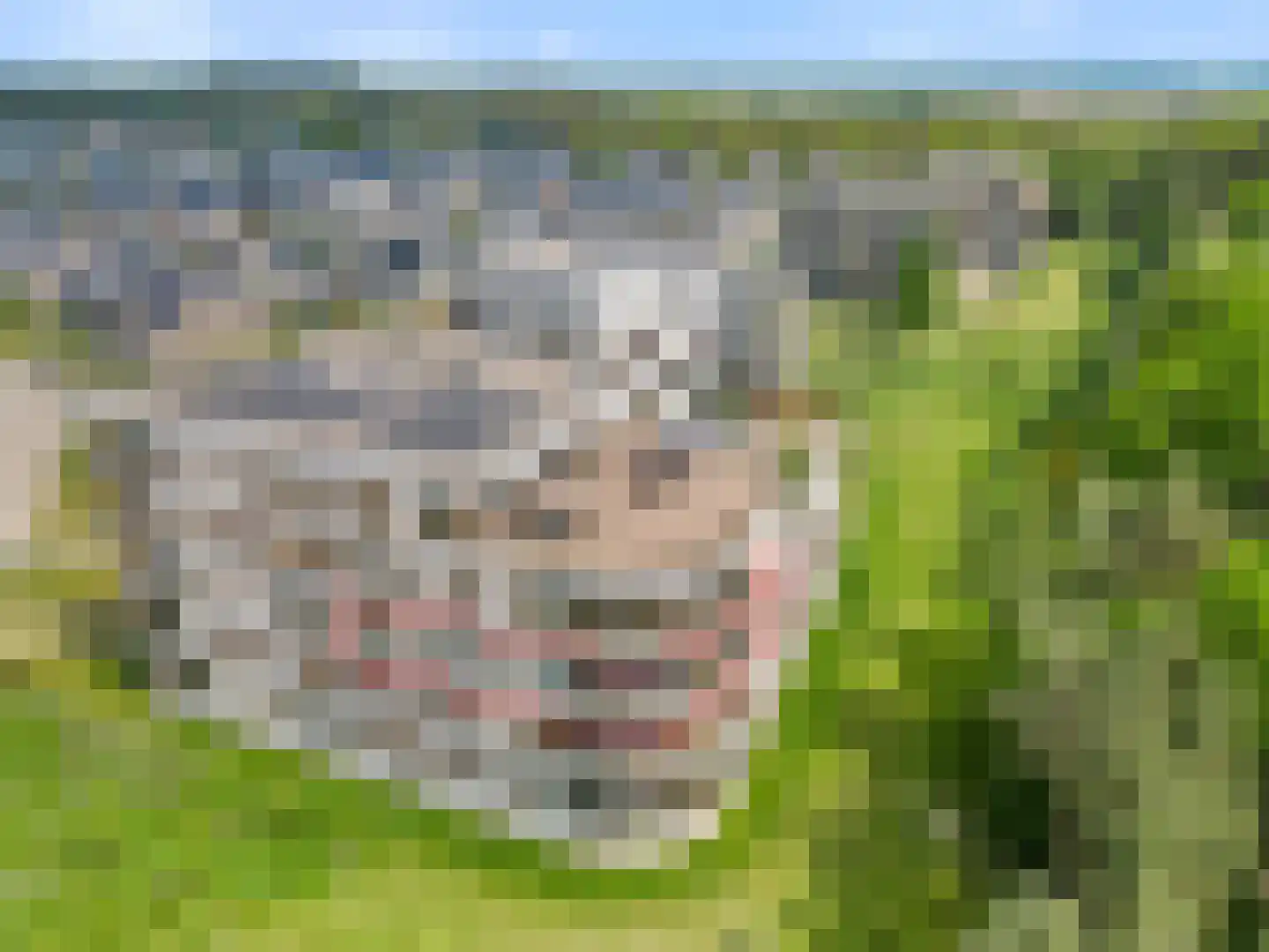 Elbert Veenendaalhof 40 Ede thumbnail 6