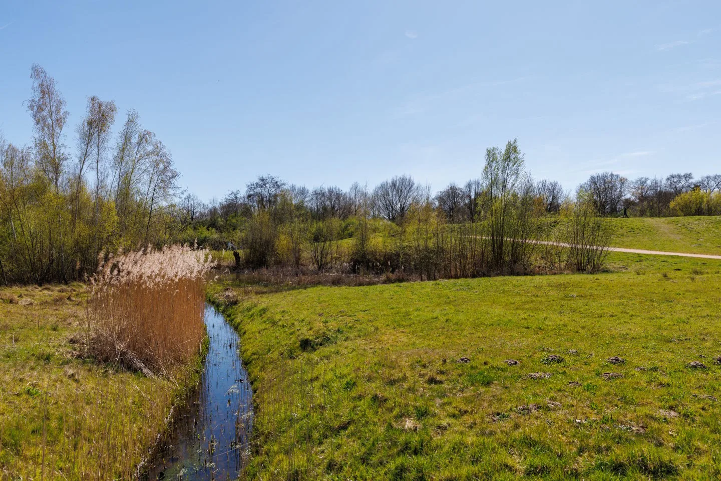 Elbertbos 1 Enschede thumbnail 6