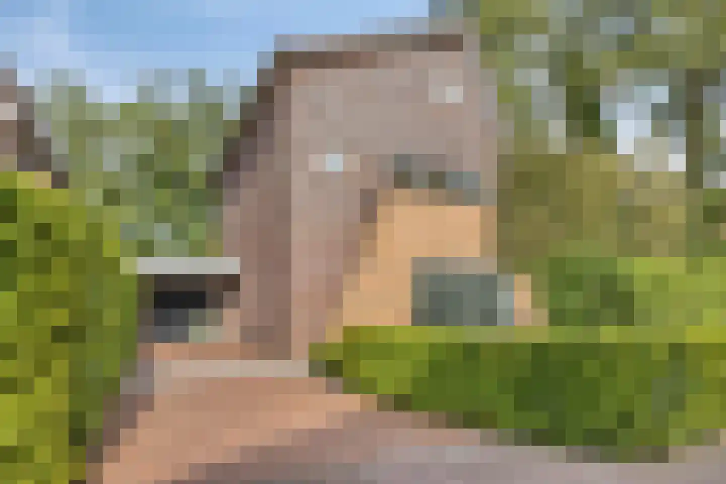 Elbertbos 24 Enschede