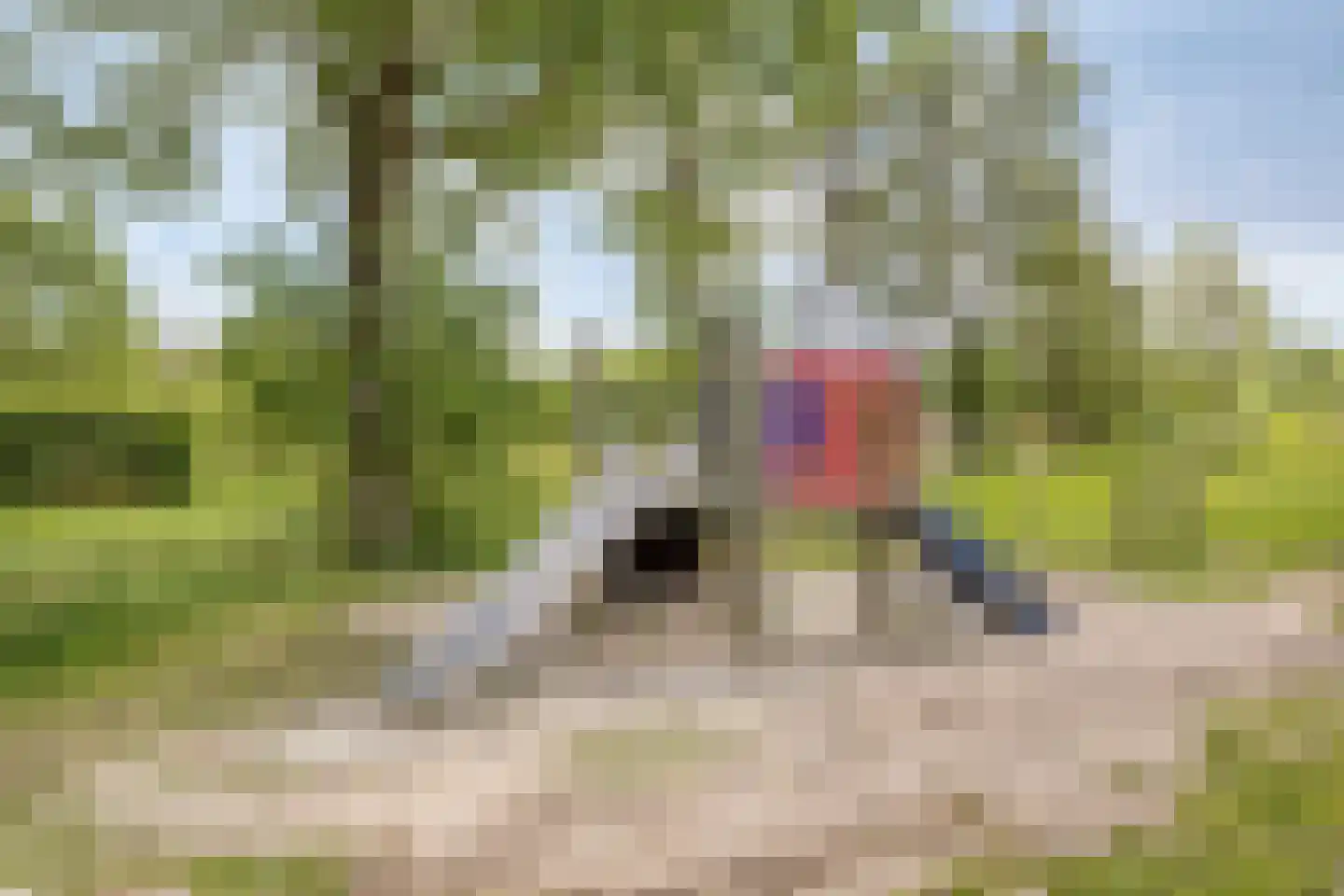 Elbertbos 24 Enschede thumbnail 51