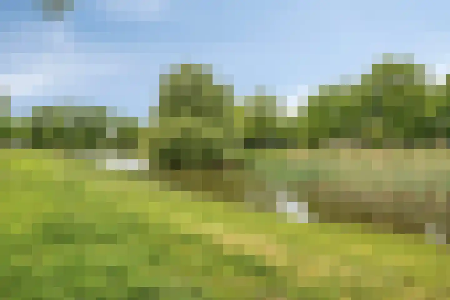 Elbertbos 24 Enschede thumbnail 52