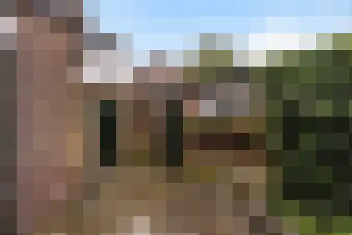 Elbertsstraat 18 Zwolle thumbnail 25