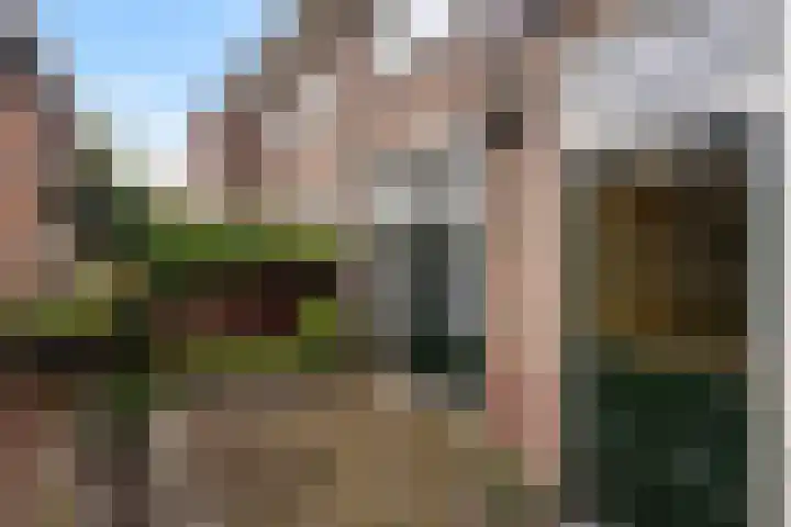 Elbertsstraat 18 Zwolle thumbnail 26