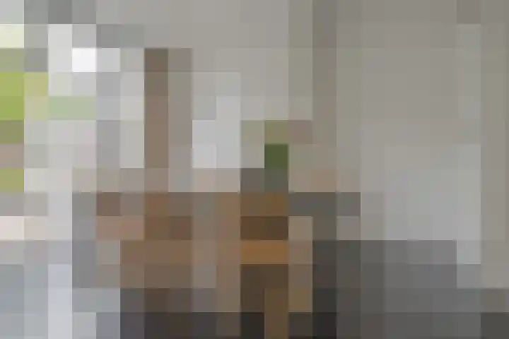 Elbertsstraat 6 Zwolle thumbnail 17
