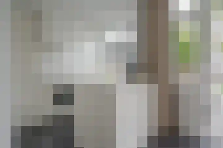 Elbertsstraat 6 Zwolle thumbnail 20