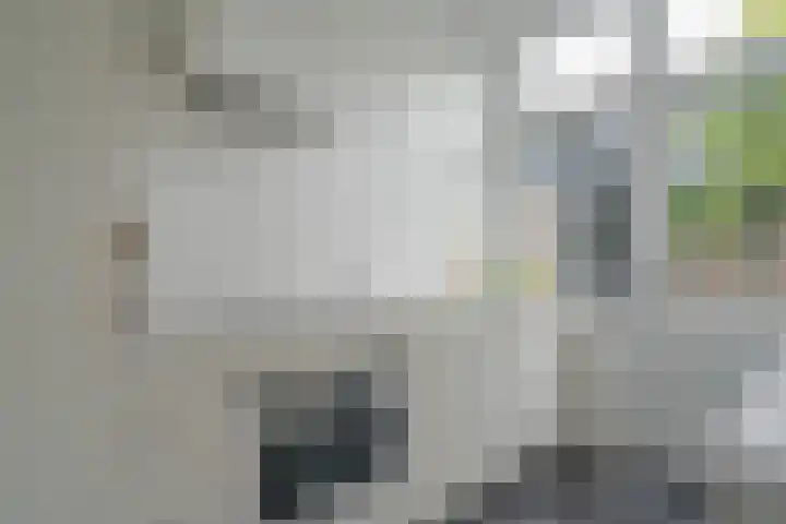 Elbertsstraat 6 Zwolle thumbnail 21