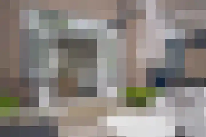 Elbertsstraat 6 Zwolle thumbnail 24