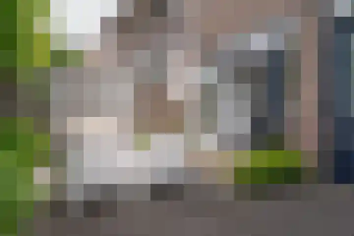Elbertsstraat 6 Zwolle thumbnail 27
