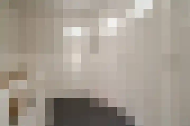 Elbertsstraat 6 Zwolle thumbnail 32