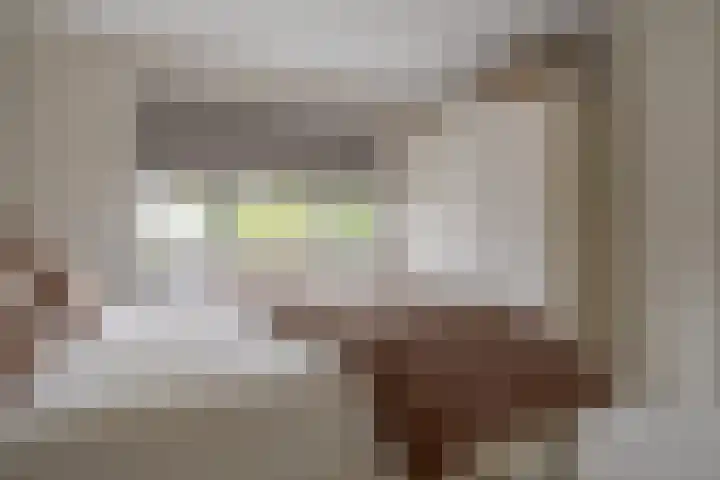 Elbertsstraat 6 Zwolle thumbnail 36