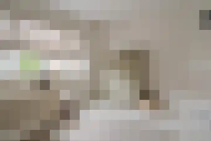 Elbertsstraat 6 Zwolle thumbnail 39