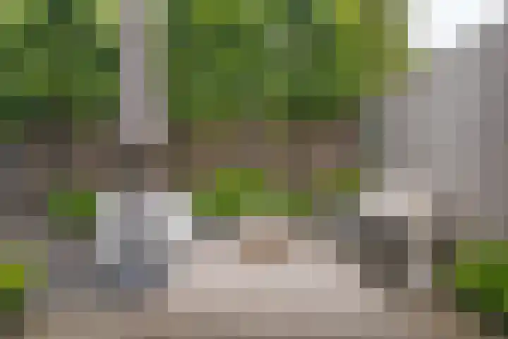 Elbertsstraat 6 Zwolle thumbnail 4