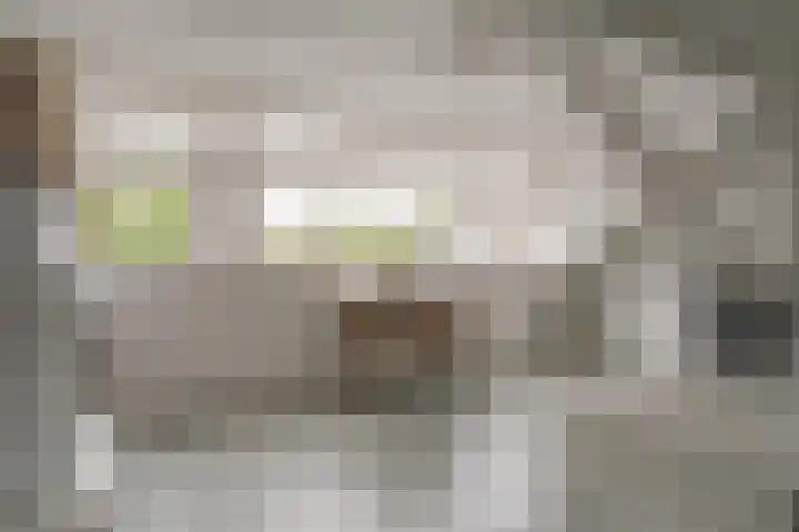 Elbertsstraat 6 Zwolle thumbnail 47