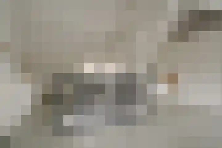 Elbertsstraat 6 Zwolle thumbnail 48