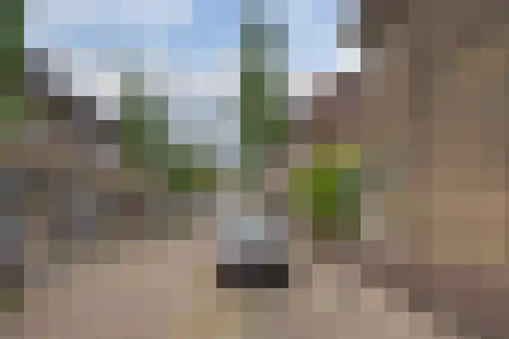 Elbertsstraat 6 Zwolle thumbnail 50