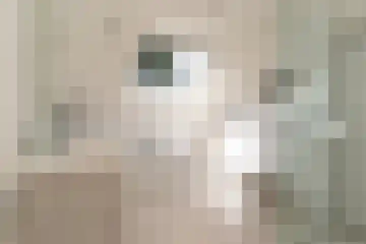 Elbertsveen 15 Blaricum thumbnail 18