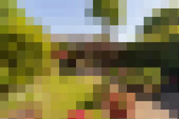 Elbertsveen 15 Blaricum thumbnail 22