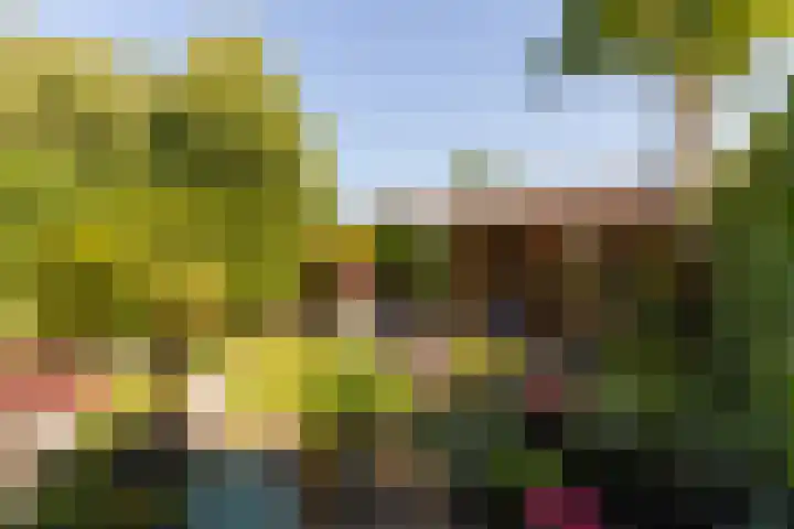 Elbertsveen 15 Blaricum thumbnail 23