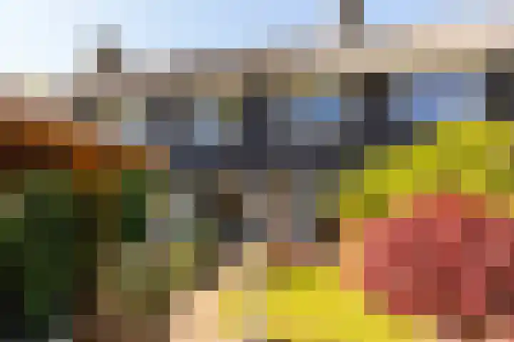 Elbertsveen 15 Blaricum thumbnail 25