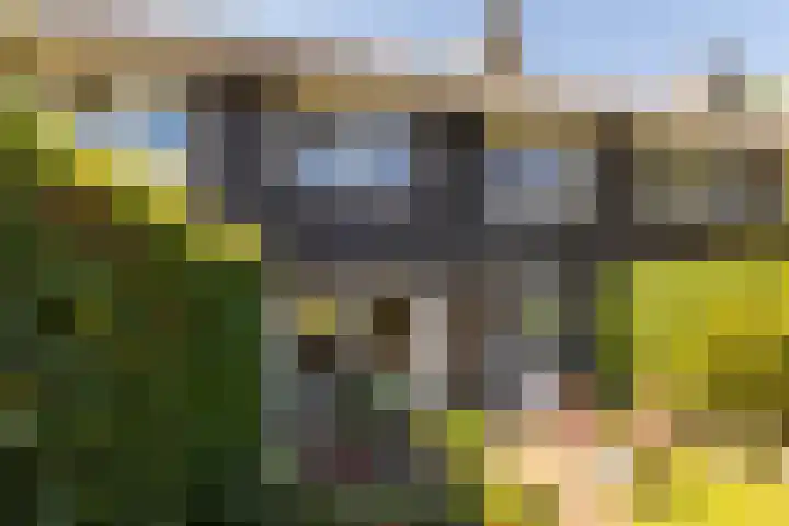 Elbertsveen 15 Blaricum thumbnail 26