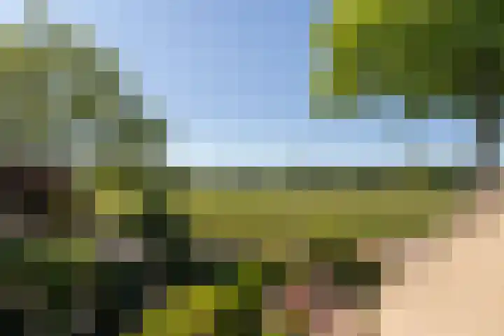 Elbertsveen 15 Blaricum thumbnail 27
