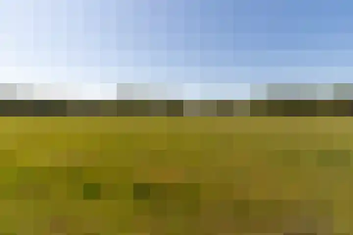 Elbertsveen 15 Blaricum thumbnail 28