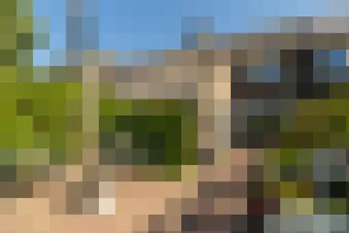 Elbertsveen 15 Blaricum thumbnail 4