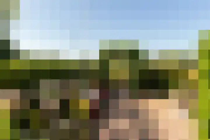 Elbertsveen 15 Blaricum thumbnail 5