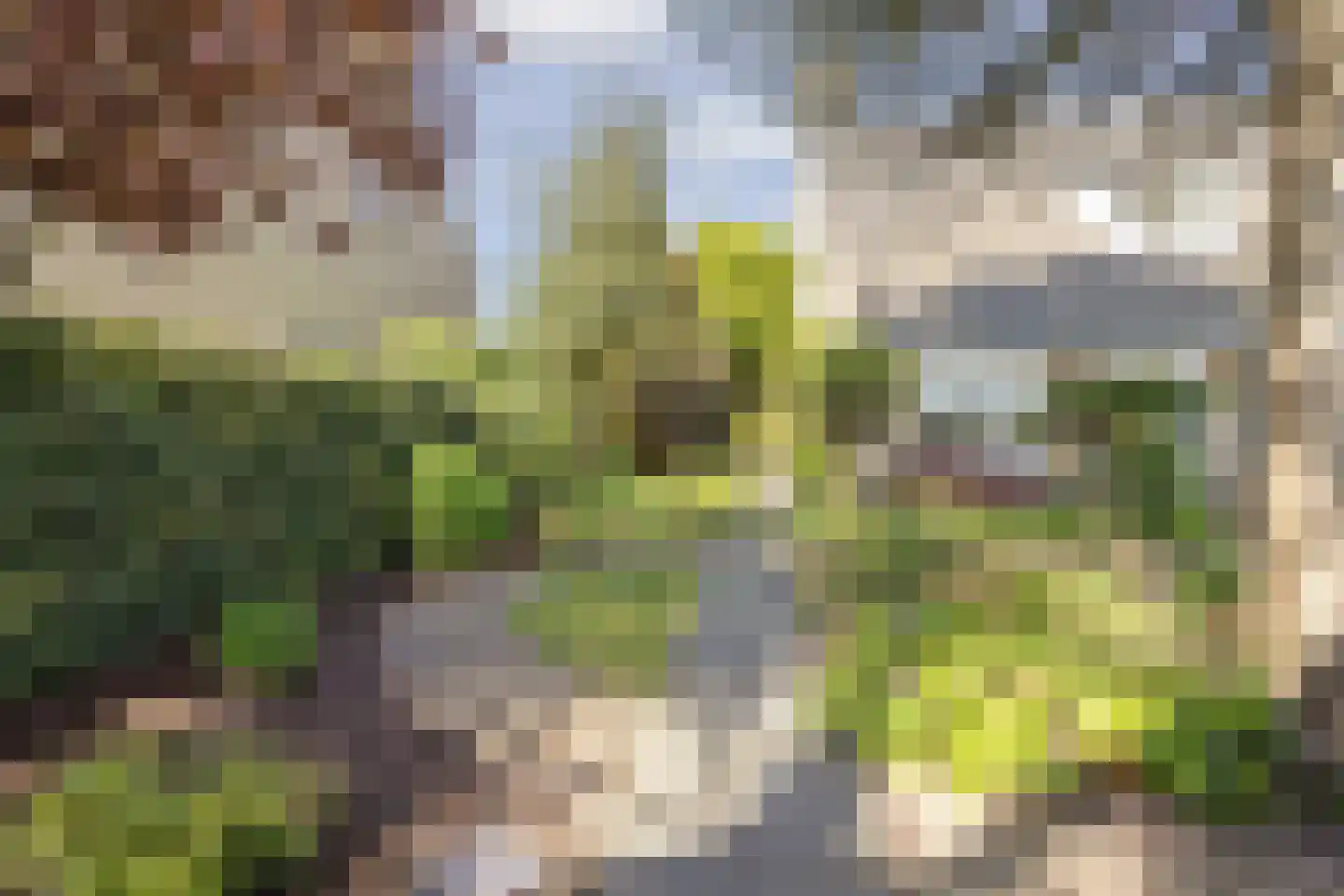 Elbertsveen 19 Blaricum thumbnail 10