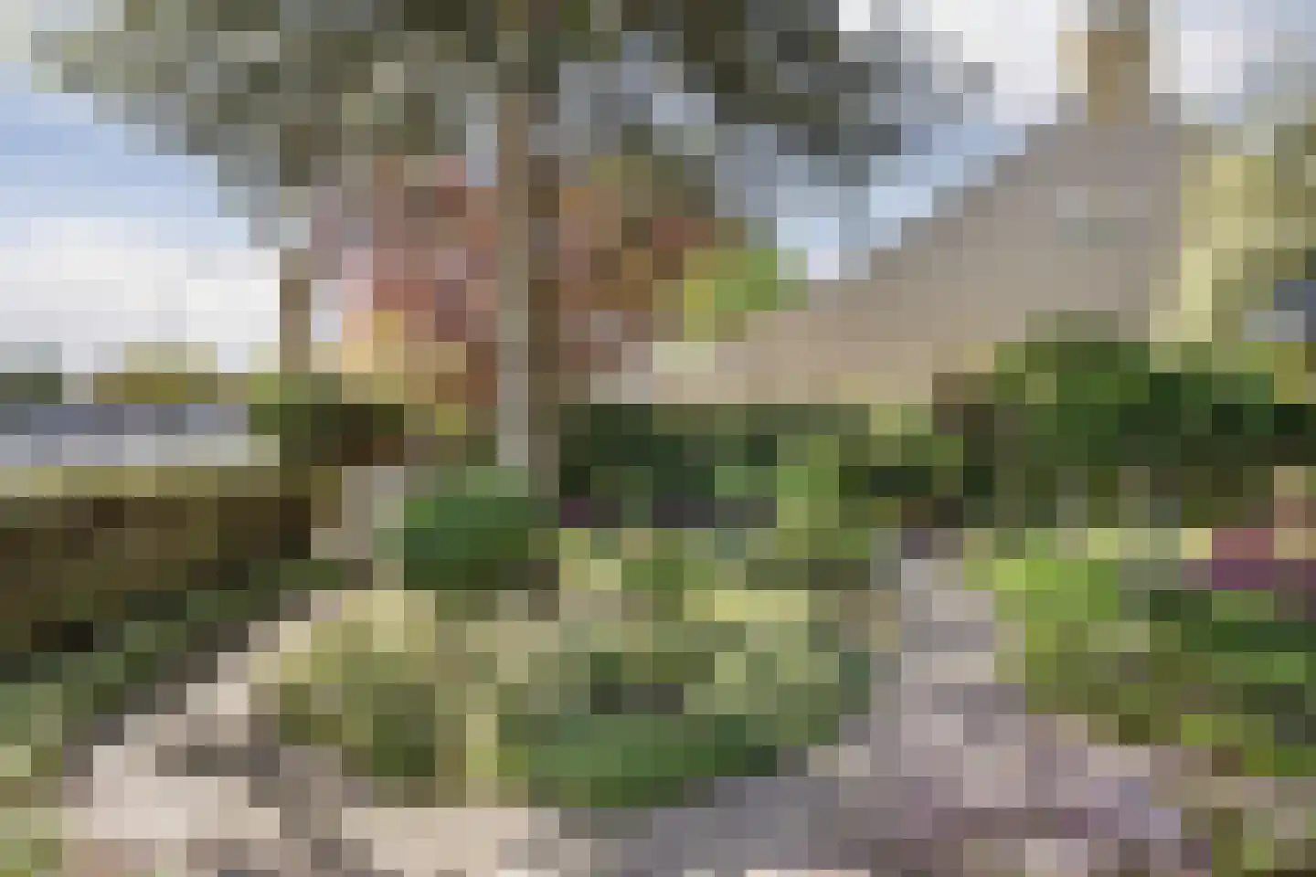 Elbertsveen 19 Blaricum thumbnail 11