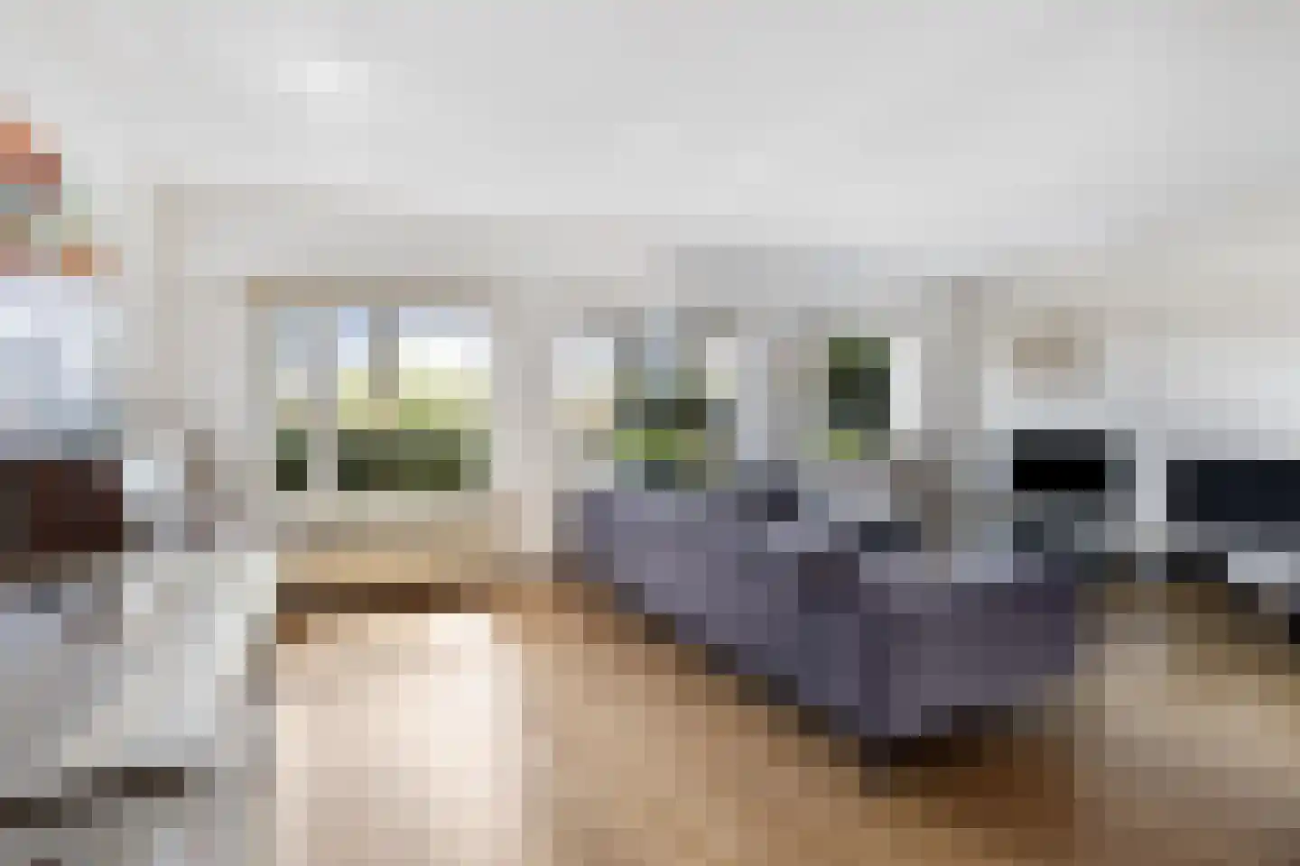 Elbertsveen 19 Blaricum thumbnail 16