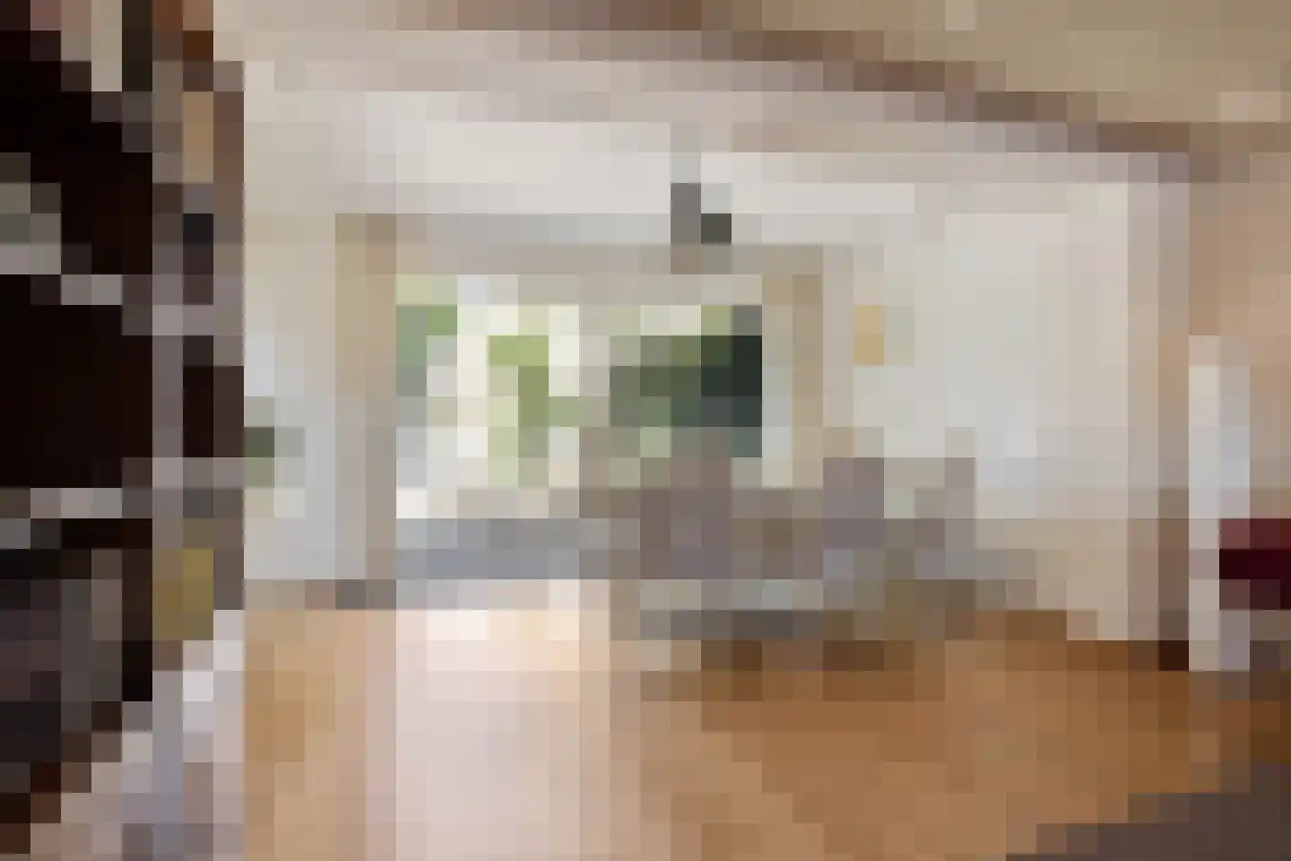 Elbertsveen 19 Blaricum thumbnail 23
