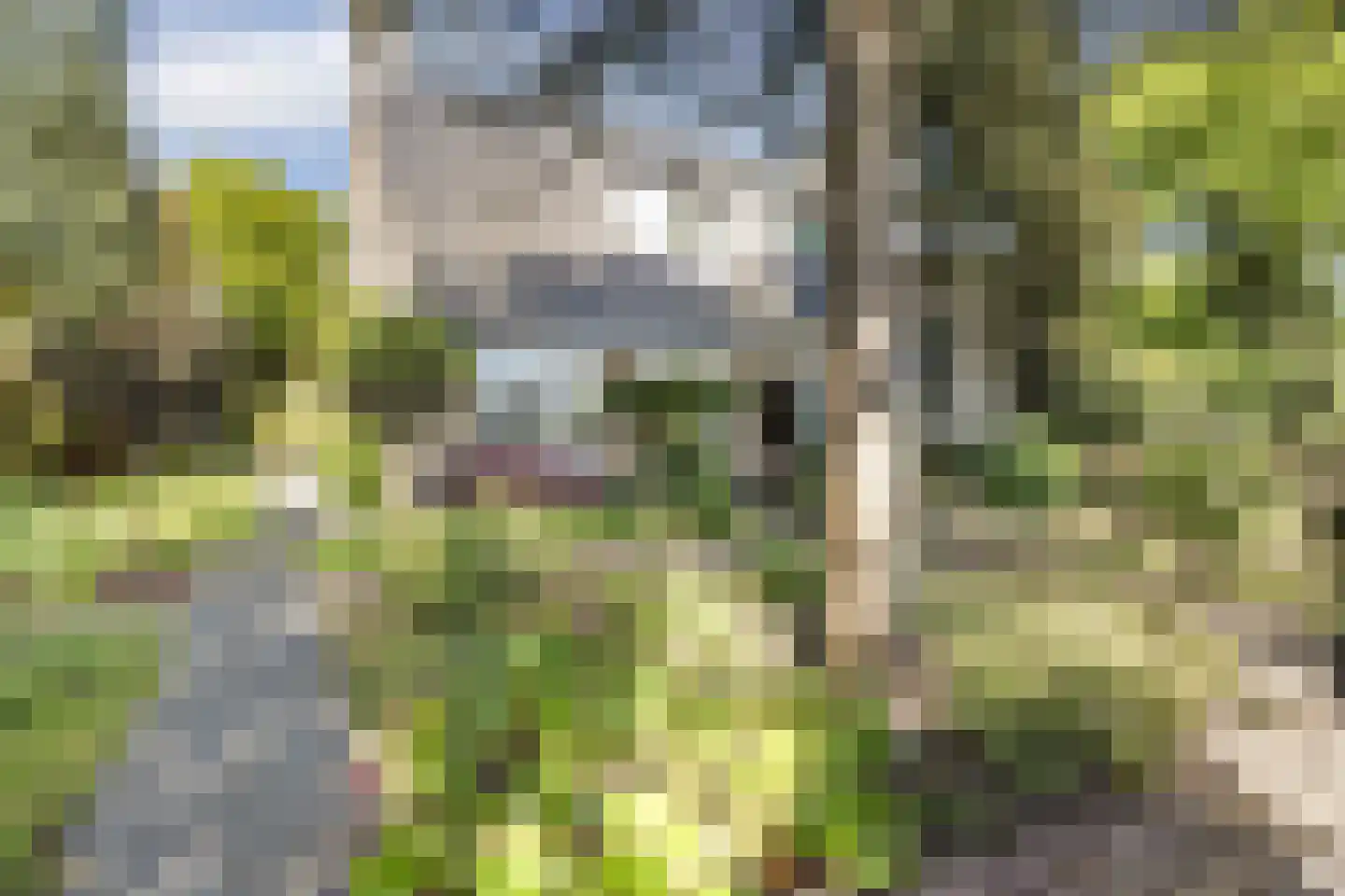 Elbertsveen 19 Blaricum thumbnail 4