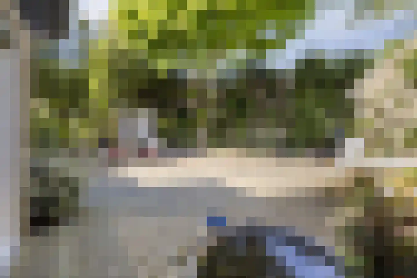Elbertsveen 19 Blaricum thumbnail 47