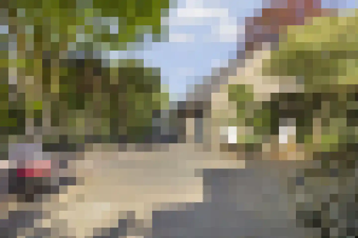 Elbertsveen 19 Blaricum thumbnail 48