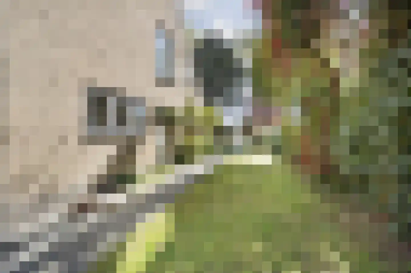 Elbertsveen 19 Blaricum thumbnail 49