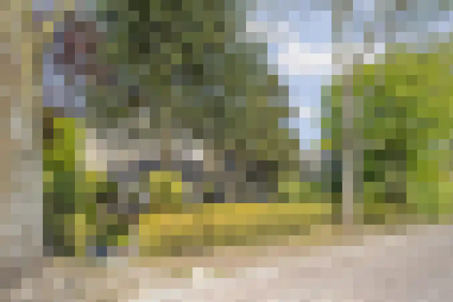 Elbertsveen 19 Blaricum thumbnail 5
