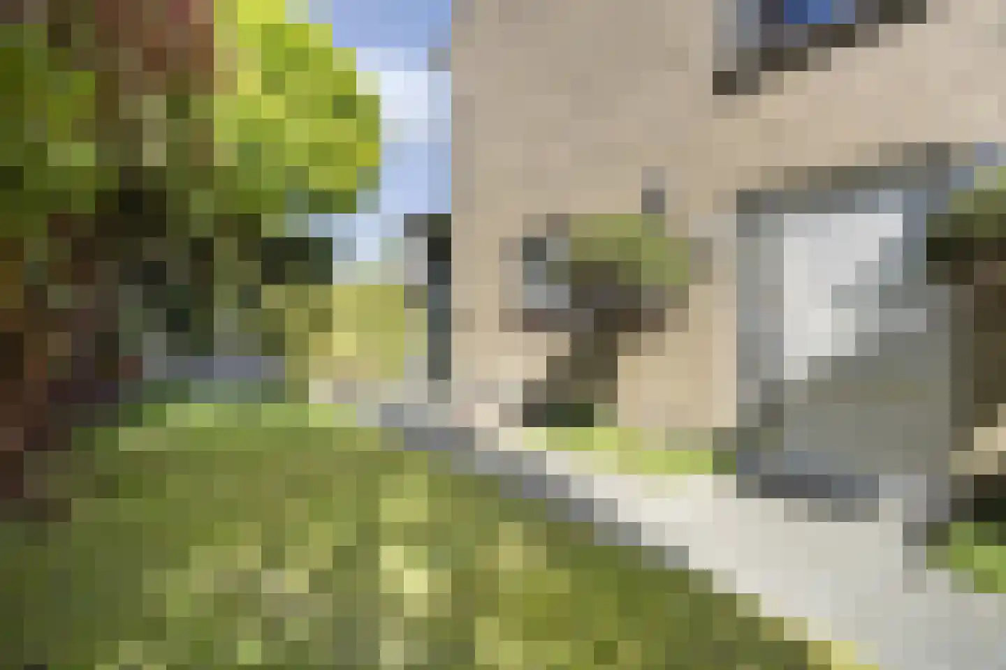 Elbertsveen 19 Blaricum thumbnail 5