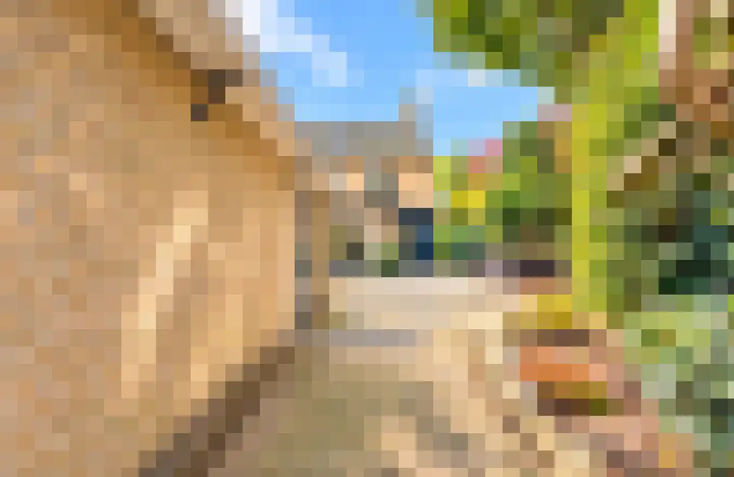 Elbertsveen 19 Blaricum thumbnail 5