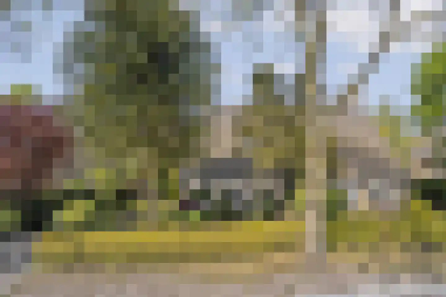Elbertsveen 19 Blaricum thumbnail 53